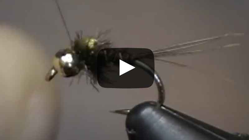 Two Minute Fly Tying: The Pheasant Tail Nymph