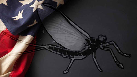USA Flag and Mayfly