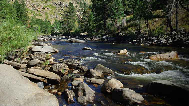 Upper Pecos River New Mexico Fly Fishing