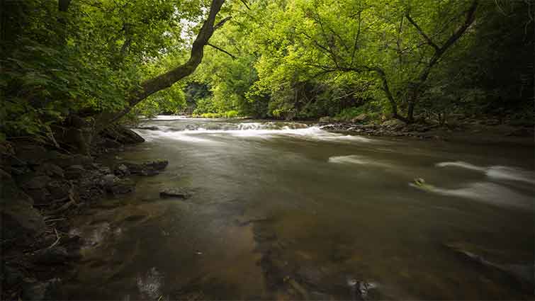 Vermillion River Minnesota Fly Fishing