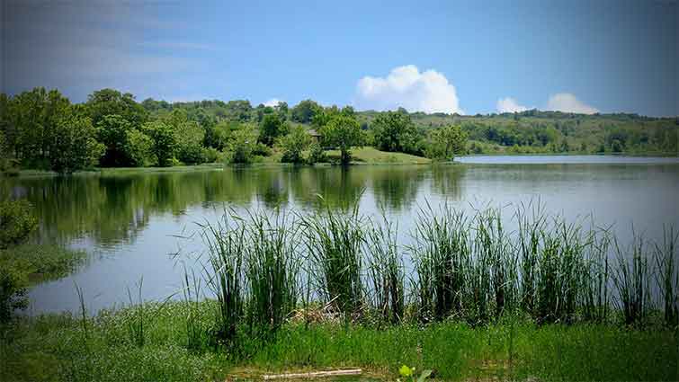 Veterans Park Pond Oklahoma Fly Fishing