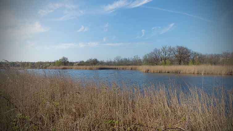 Viking Lake Iowa Fly Fishing