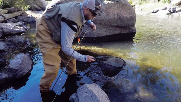 Man Fly Fishing with Waders