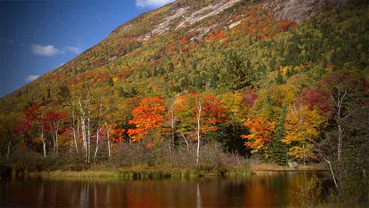 Webster Lake New Hampshire Fly Fishing