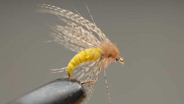 Wet Fly on Hook for Fly Fishing