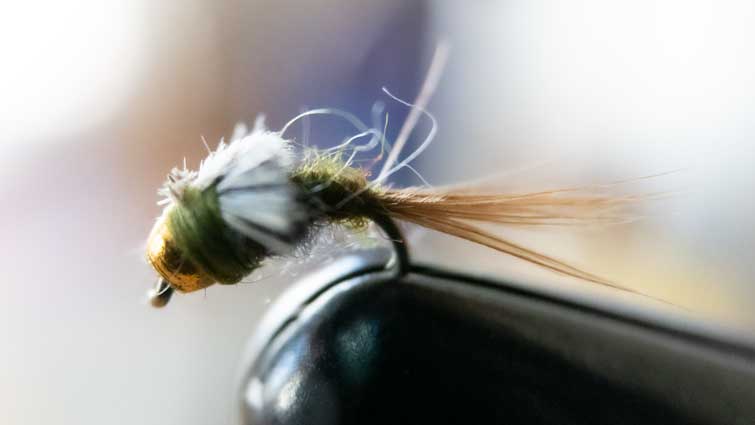 Wet Flies in Fly Fishing - Hooks to Swings