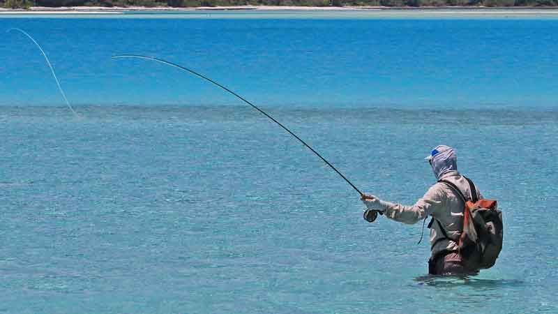 Top 18 Places to Fly Fish in Florida – And What Flies to Use