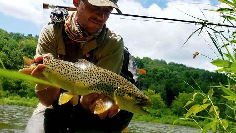 Tom Dosoff Catching Nice Brown Trout