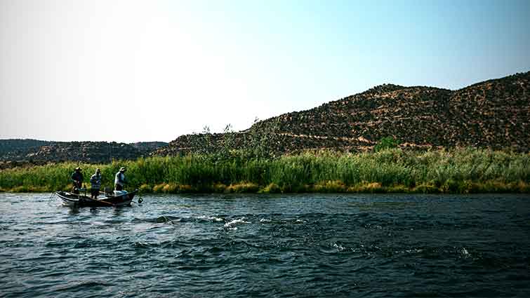 Three Men Fly Fishing in New Mexico on Boat