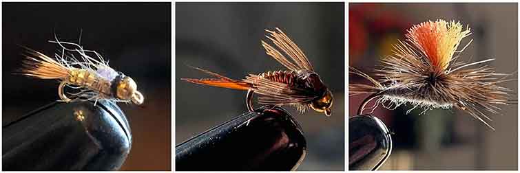 White Pines Forest State Park Ogle County Illinois Fishing Flies 