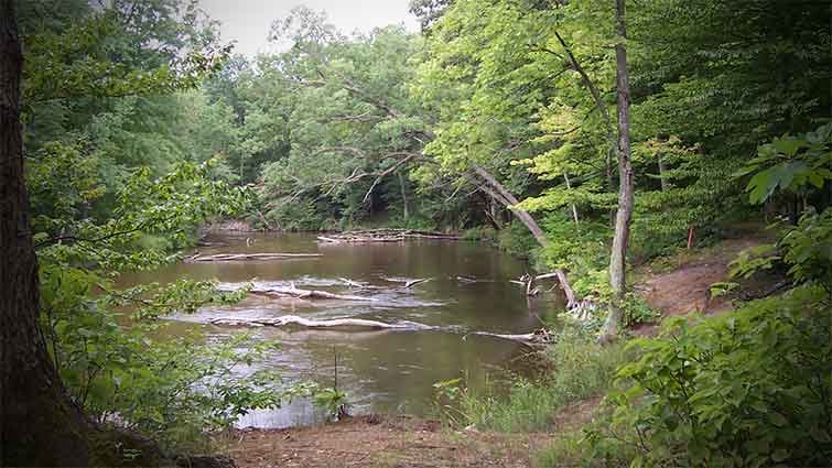 White River fly fishing