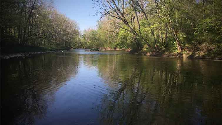 Wildcat Creek Indiana Fly Fishing 