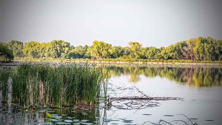 Willow Lake Kansas Fly Fishing