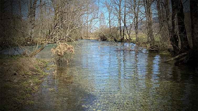 Wilsons Run Delaware Fly Fishing