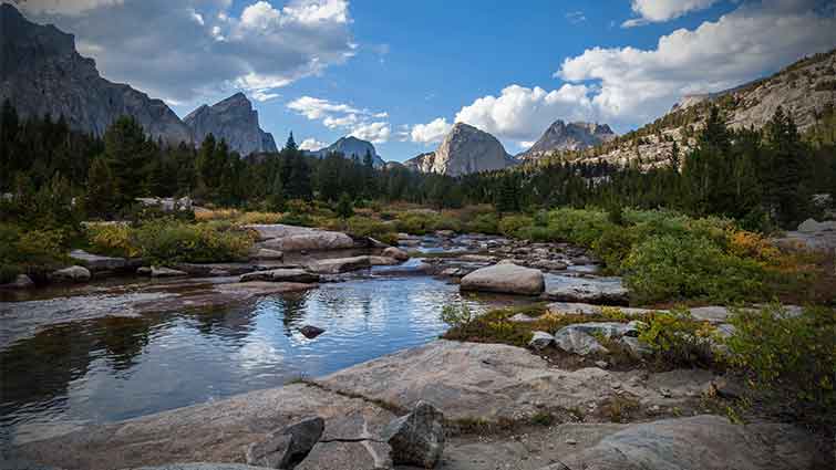 Wind River   East Fork of the Wind River Wyoming Fly Fishing