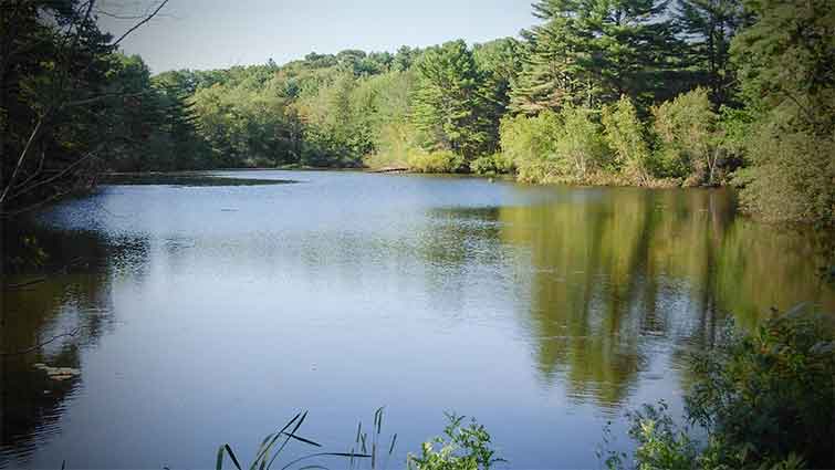 Worden Pond Rhode Island Fly Fishing