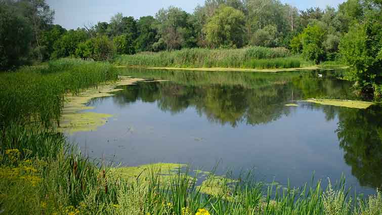 Woods Reserve Ponds Nebraska Fly Fishing