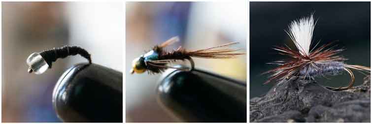 Yampa River Recommended Fly Patterns