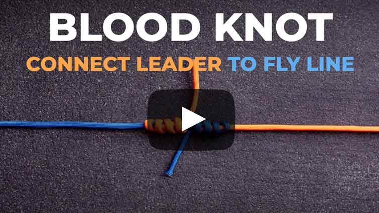 Blood Knot Video - How to Attach Leader to Fly Line