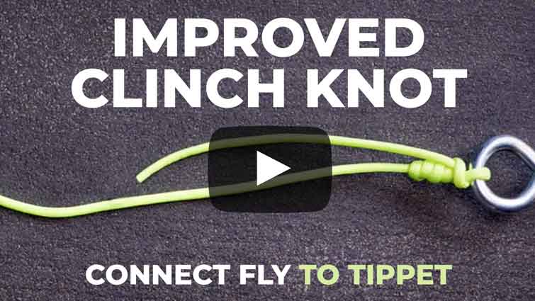 Improved Clinch Knot Video