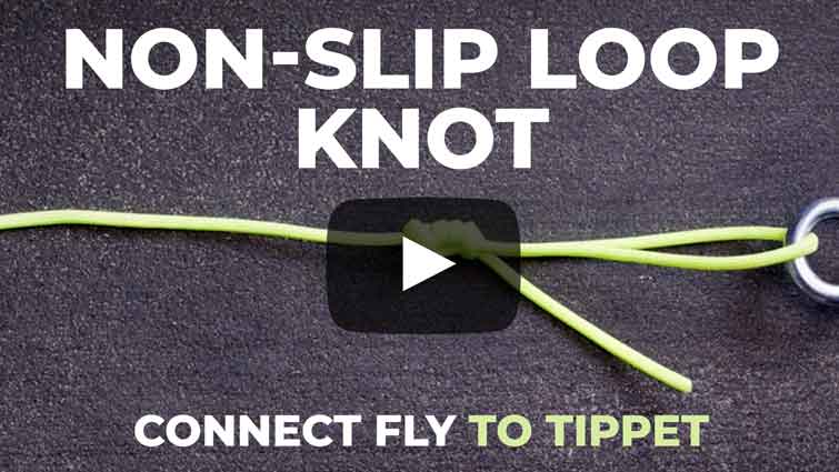 Non Slip Loop Knot Video