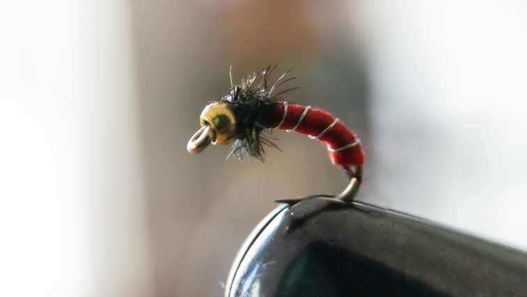 Zebra Midge for catching brown trout