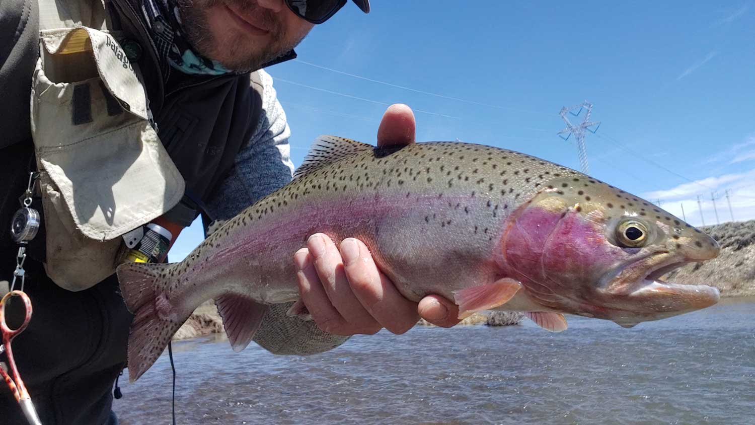 Fly Fishing in the Spring