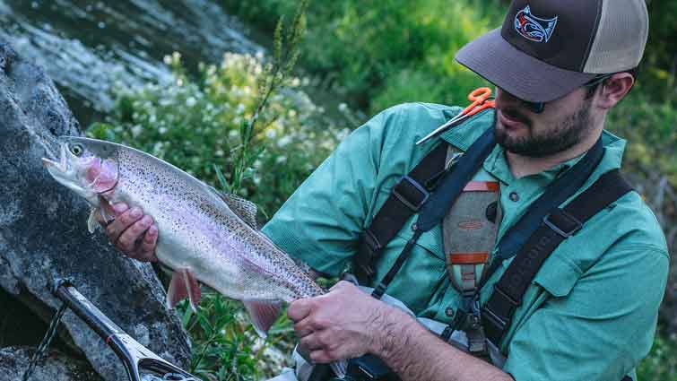 Top 5 Best Streamers for Trout - And How to Fish Them