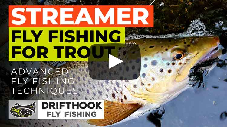 Streamer Fly Fishing for Trout Video Link