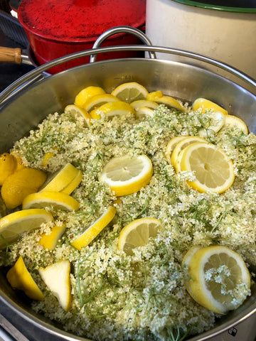 elderflower heads and lemon in pan for elderflower cordial recipe.
