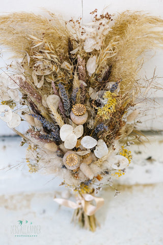 the cornish flower company dried flowers
