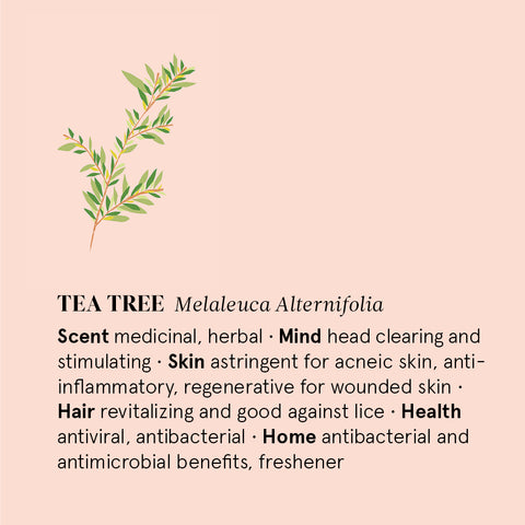 tea tree essential oil benefits.