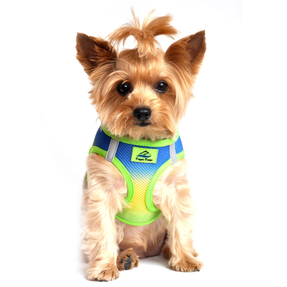 Doggie Design American River Choke Free Dog Harness Ombre Collection - Cobalt Sport