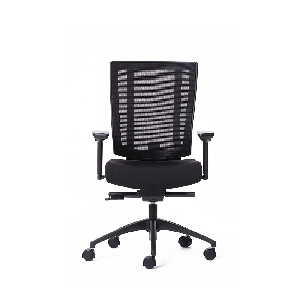 Ergonomic Office Chairs Standing Desks Ergotherapy