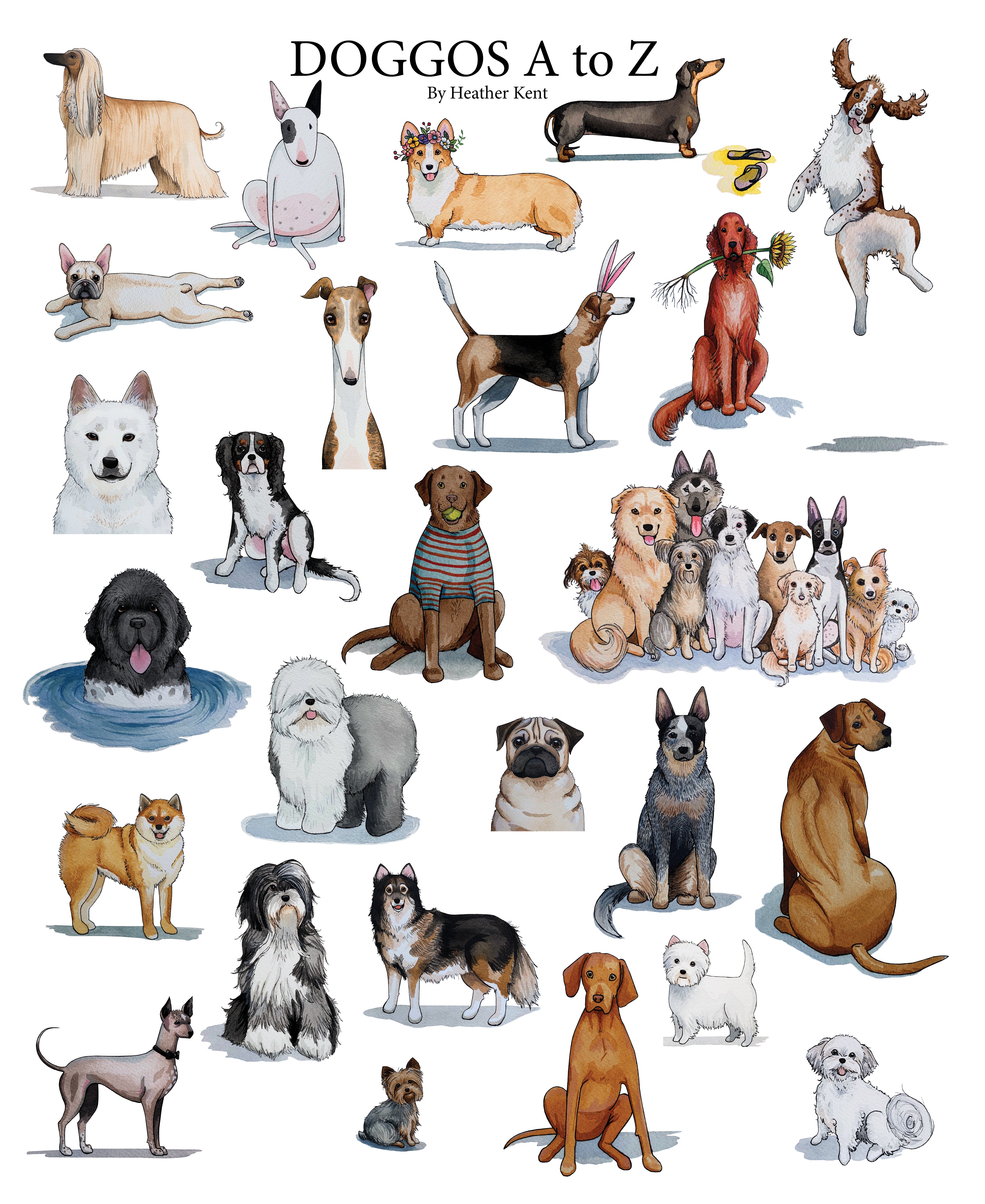 a to z dog breeds