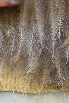 Kiwi feathers on a traditional Kahu Kiwi Kakahu 
