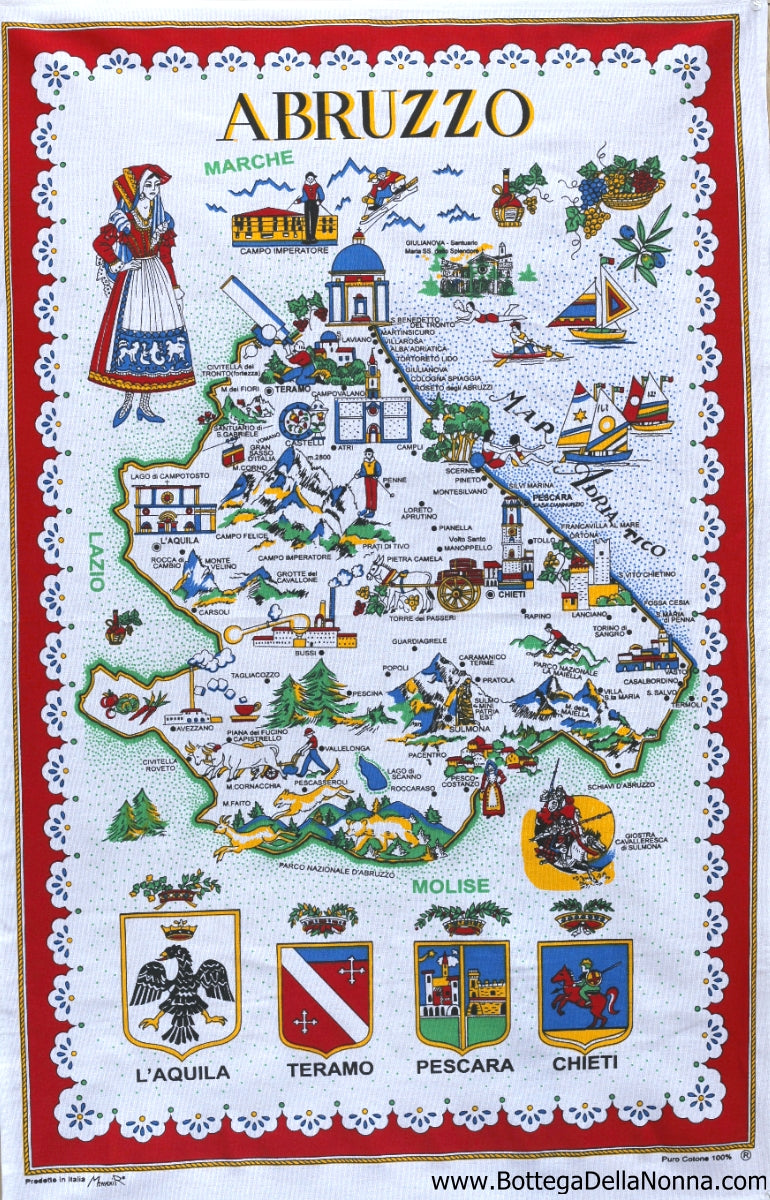 https://cdn.shopify.com/s/files/1/0031/4232/0246/products/abruzzo-dish-towel_1024x.jpg?v=1622498436