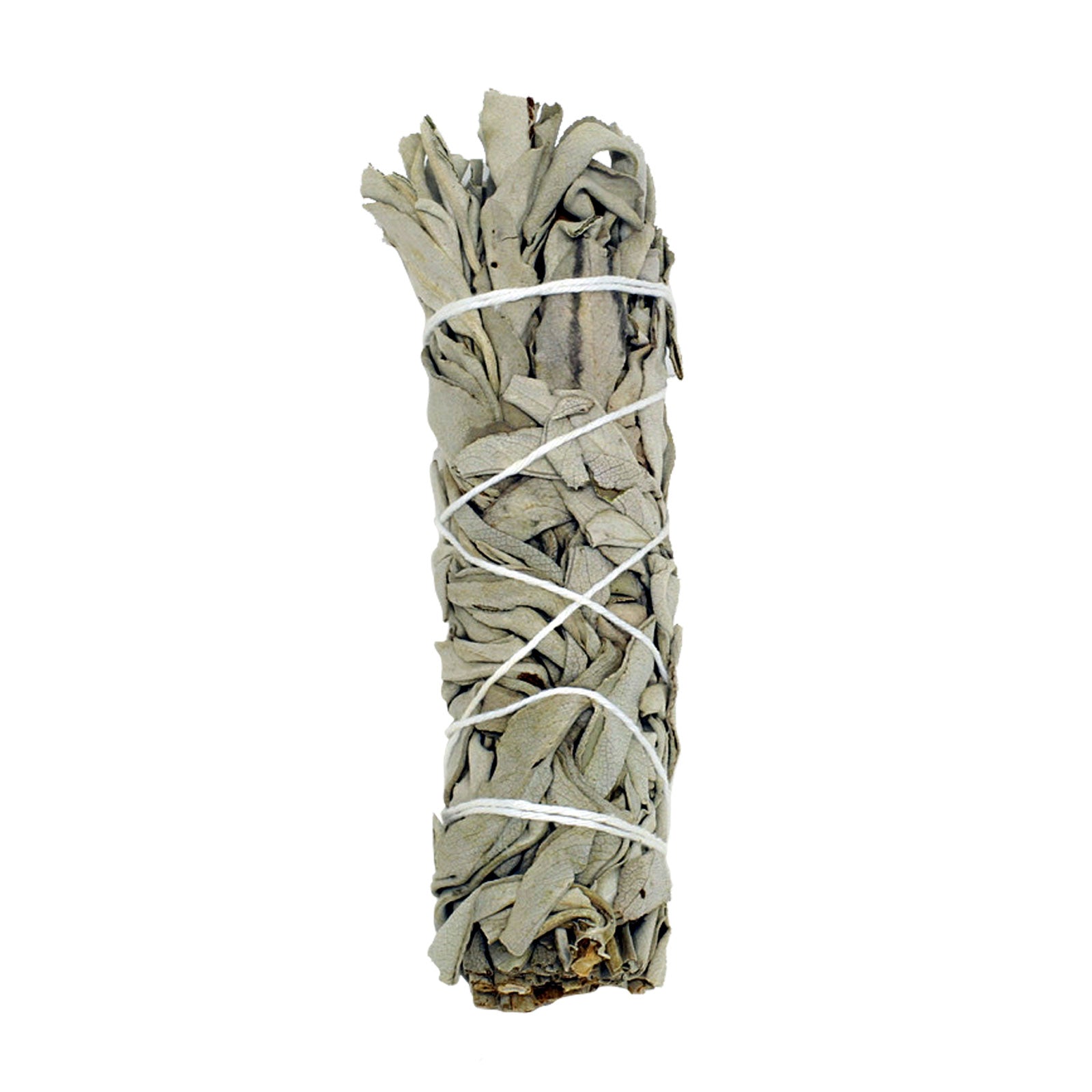 White Sage Smudge Stick