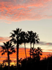 Tucson Sunset