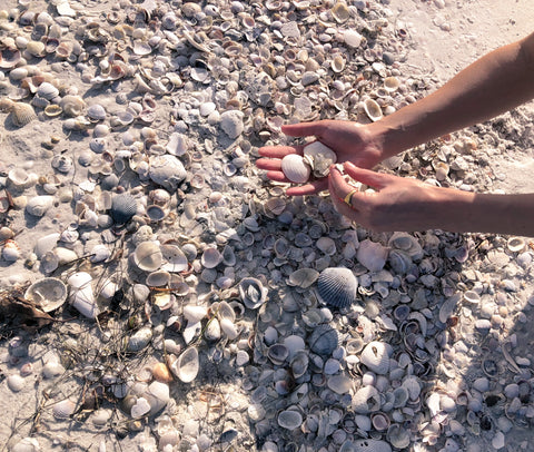 Ellie, founder of Ella Roe Jewelry, collecting shells