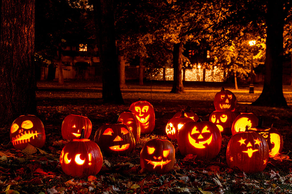 hallowenn diy yard decorations ideas