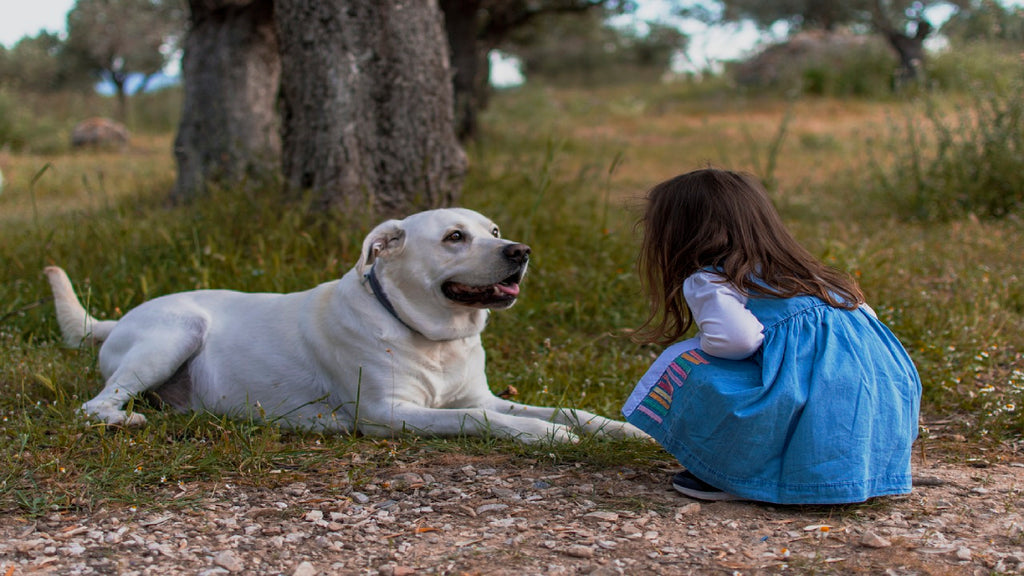 Child Playing With Dog Outdoors