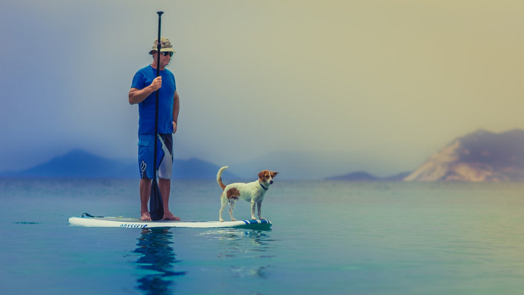 Man on Paddleboard With Dog
