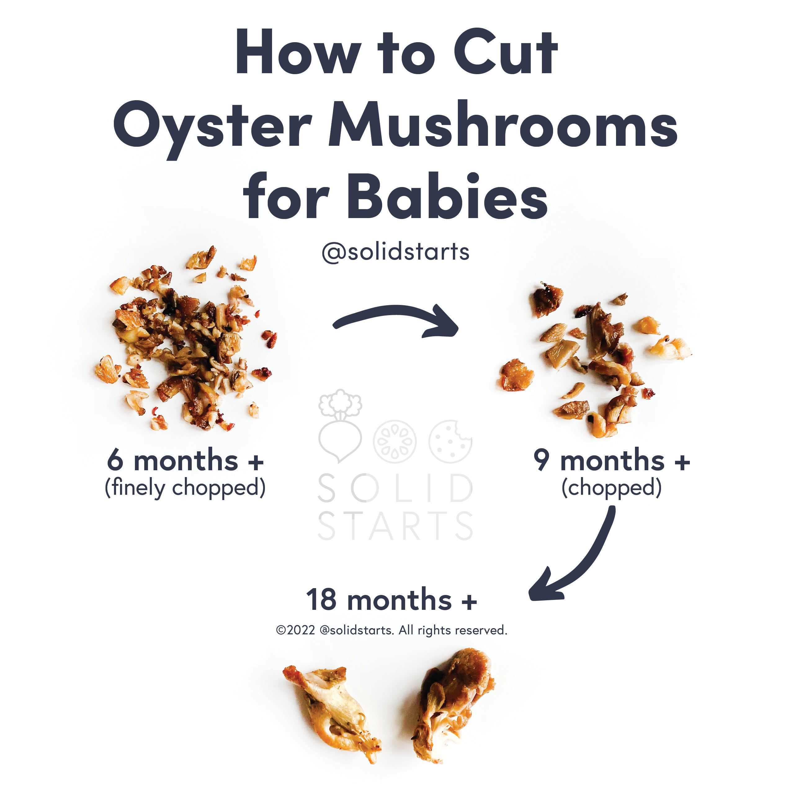 Straw Mushroom for Babies - When Can Babies Eat Straw Mushrooms - Solid  Starts