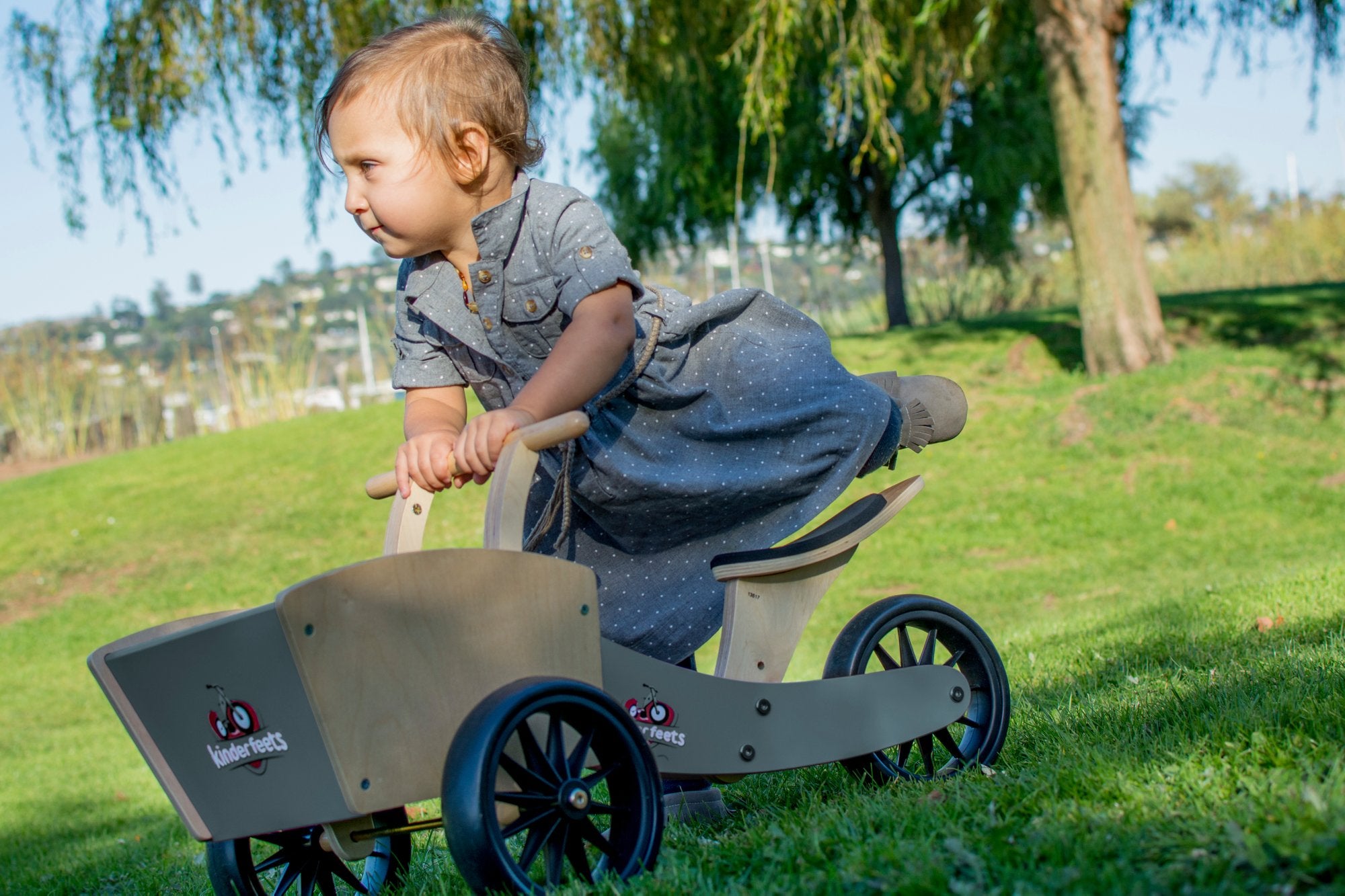 kinderfeets cargo trike