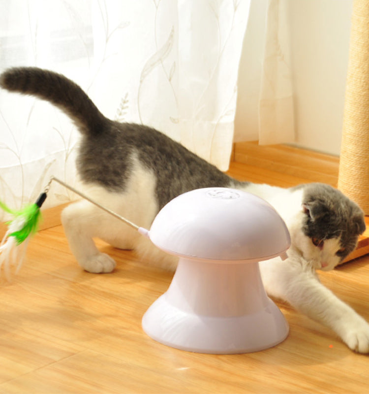 fully automatic cat fun toy