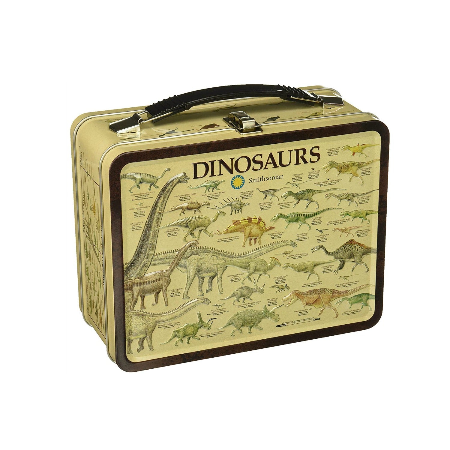 dinosaur lunch box