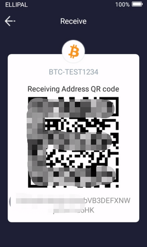 Receive address