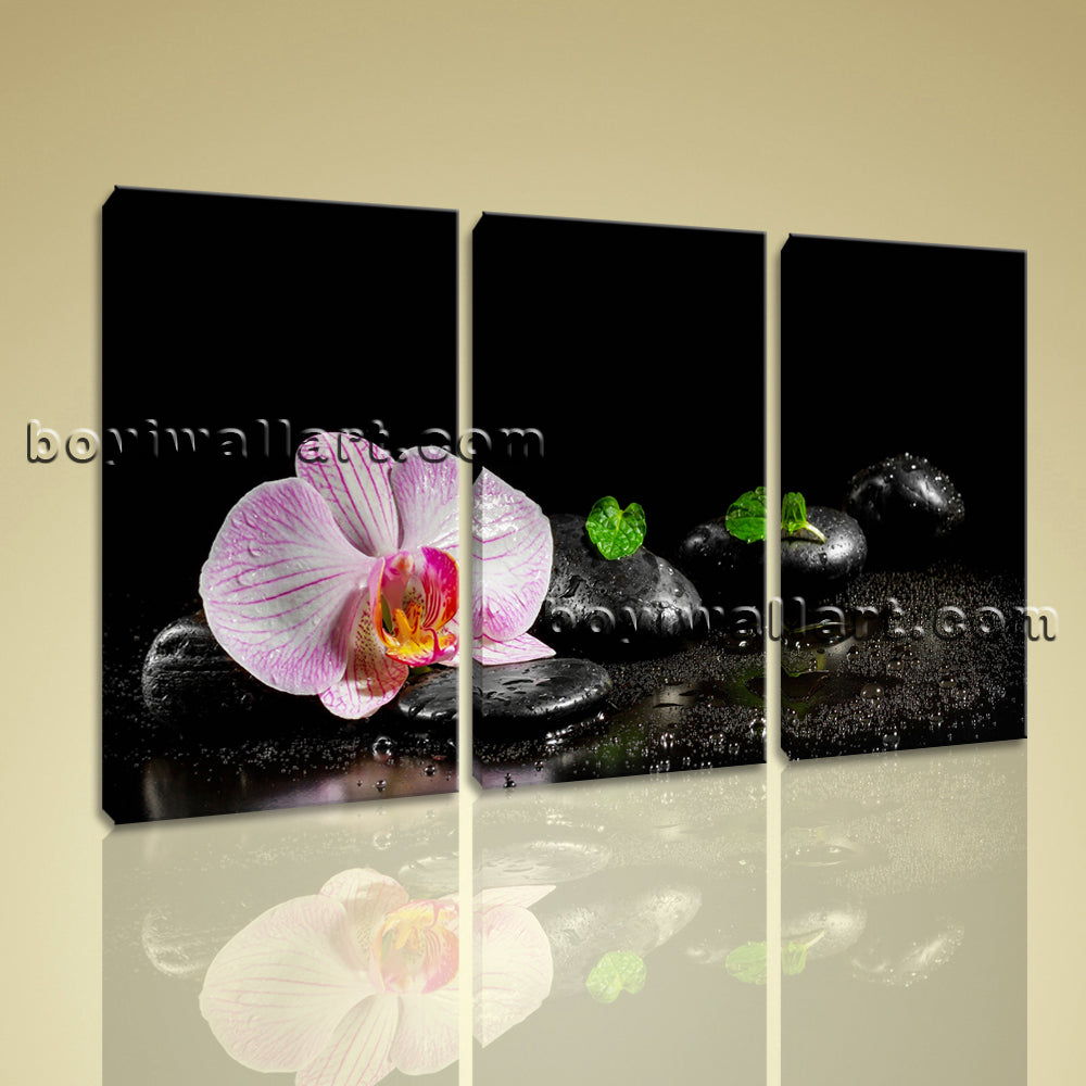 Large Canvas Prints Feng Shui Zen Wall Art Contemporary Orchid Flower Oil Painting Shops