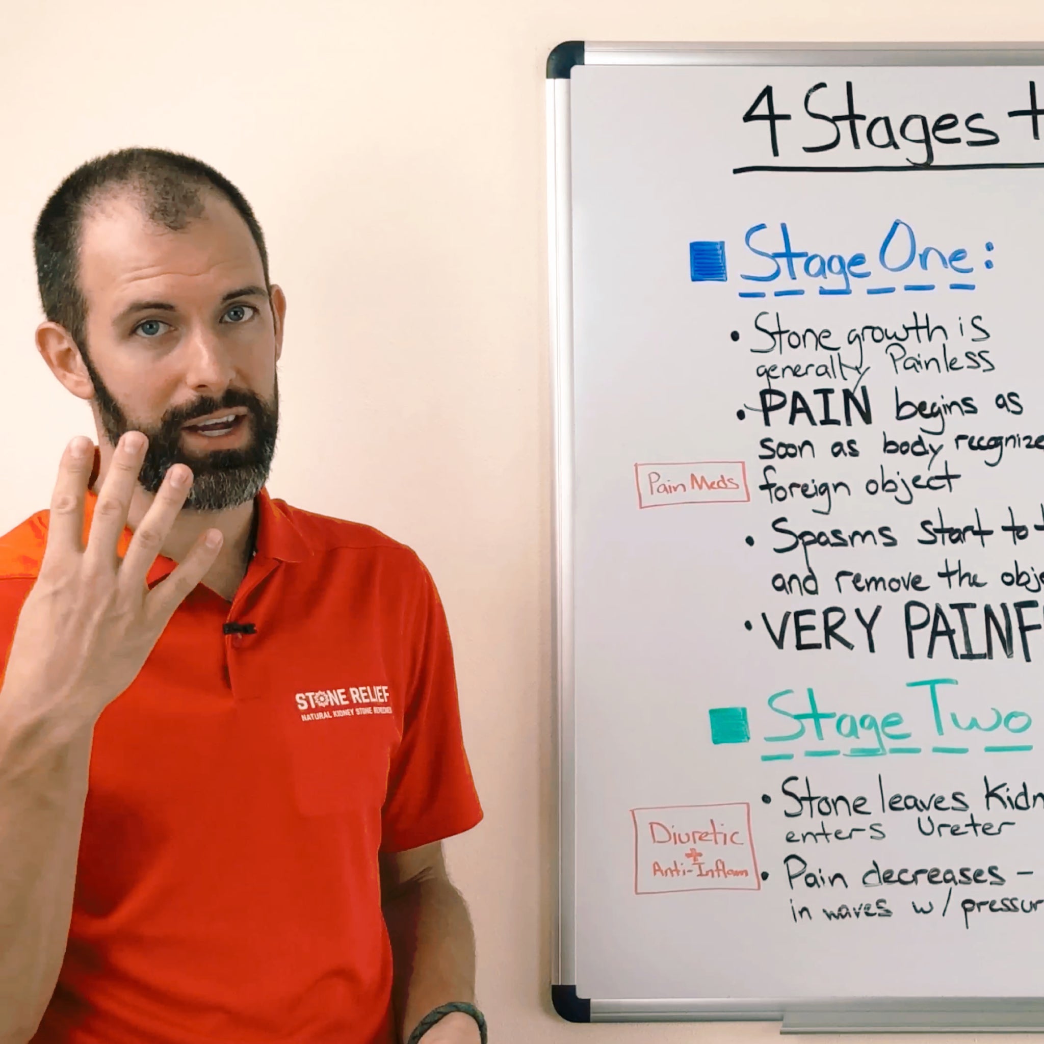 4 Stages To Passing Kidney Stones Stone Relief